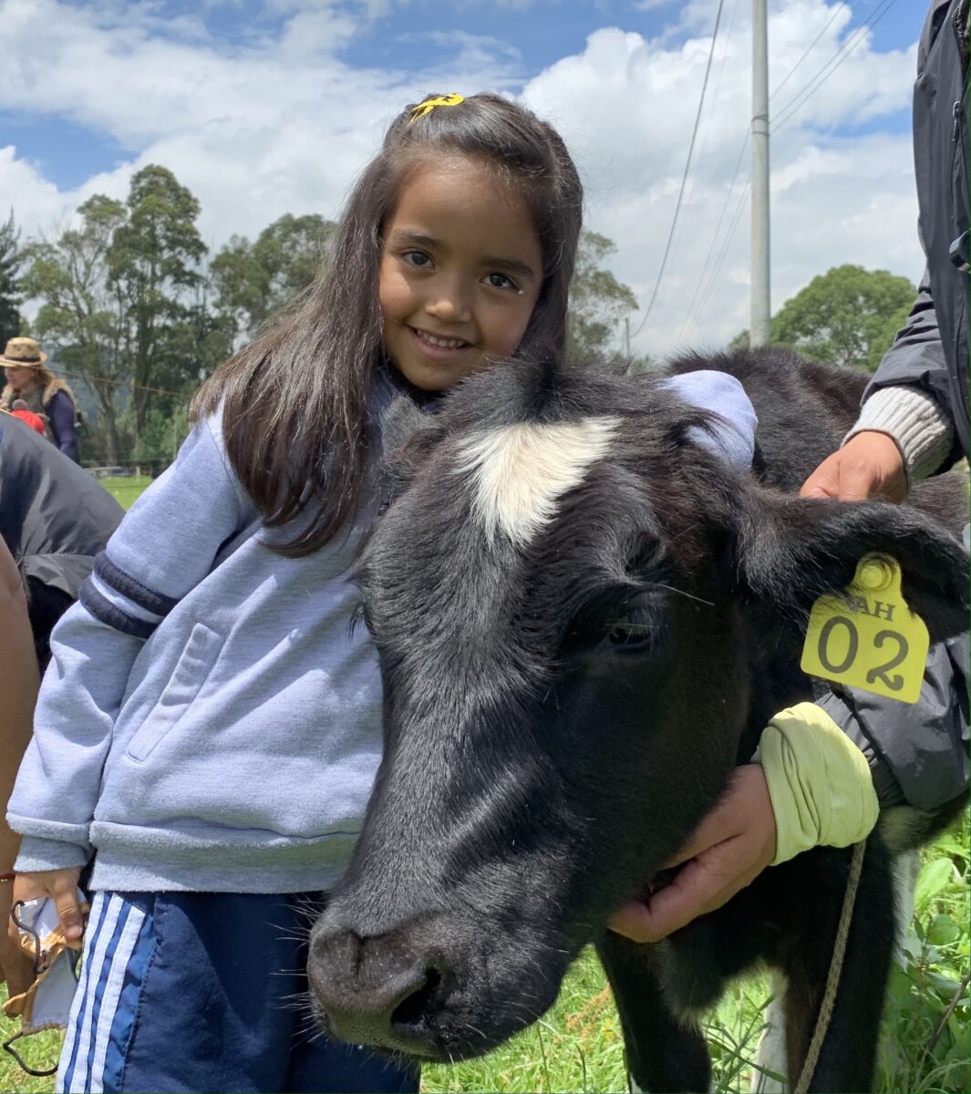 Estudiante junto a una vaca durante una experiencia fuera del aula
