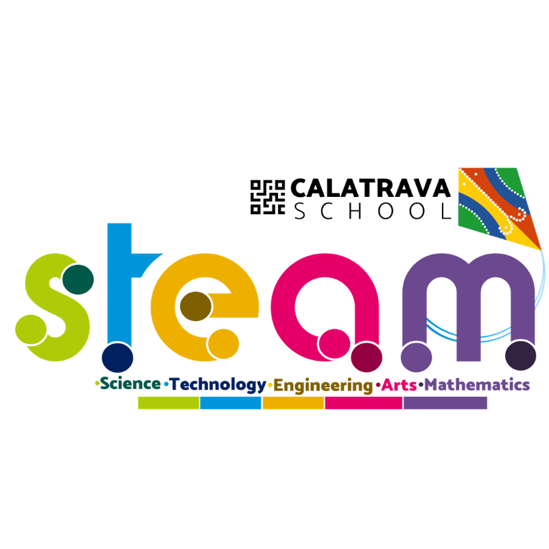 STEAM